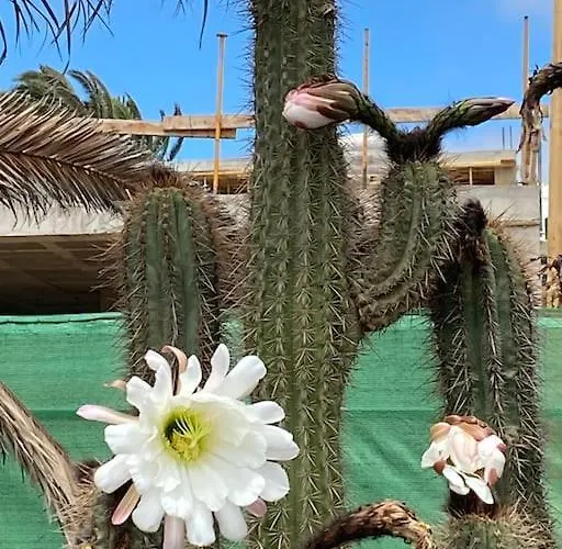 Hija Del Volcan 아파트